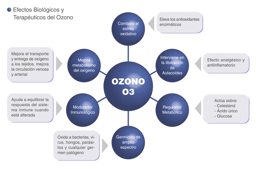 Efectos biológicos del ozono ivo3t valencia