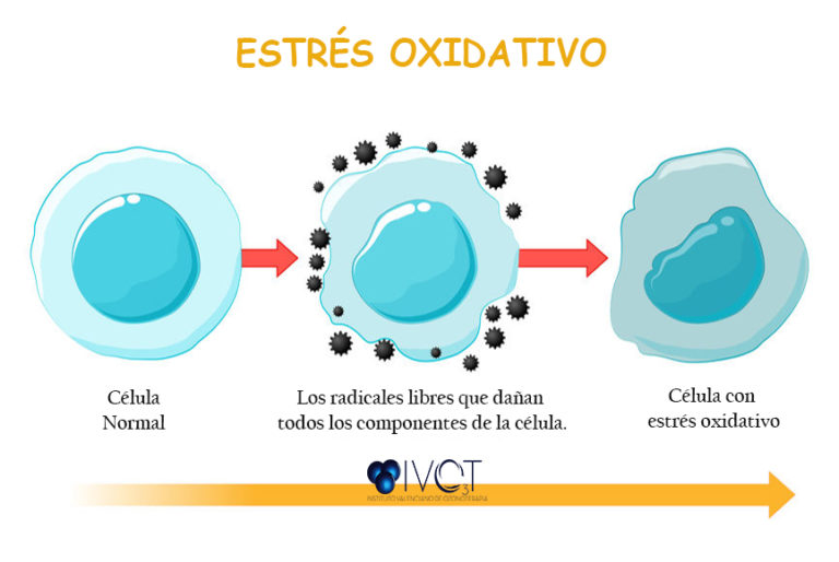 estres-oxidativo