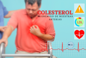 Lee más sobre el artículo Colesterol, el enemigo de nuestras arterias