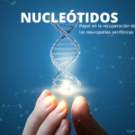 Papel de los nucleótidos en la recuperación de la neuropatía periférica