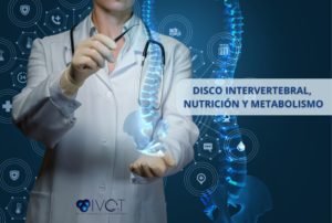 Lee más sobre el artículo Disco intervertebral, su nutrición y metabolismo