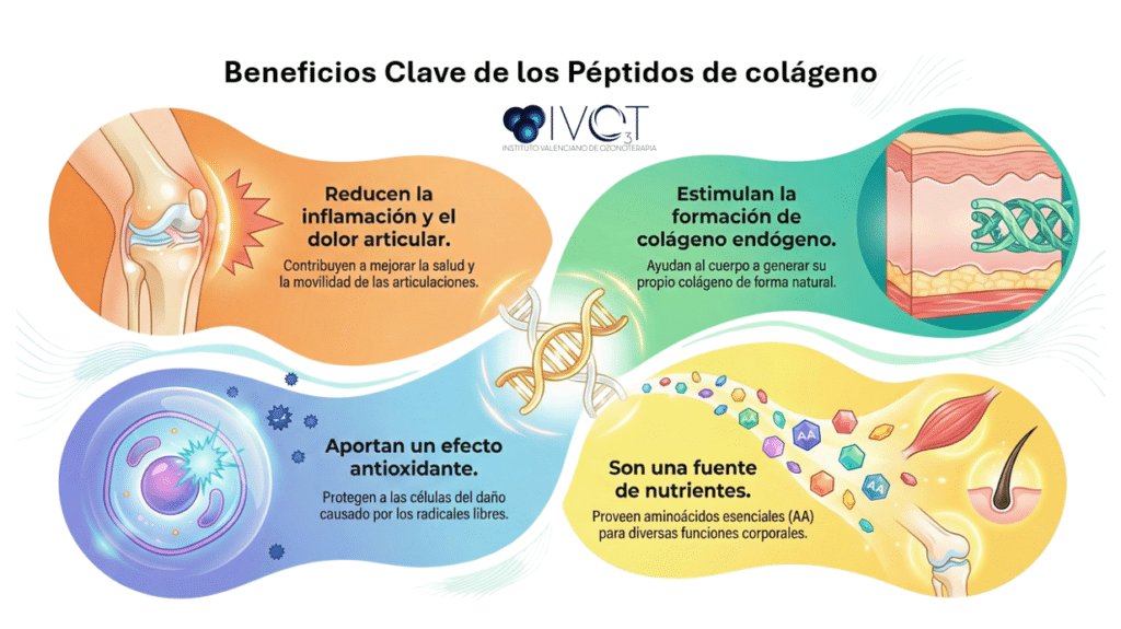 péptidos de colágeno