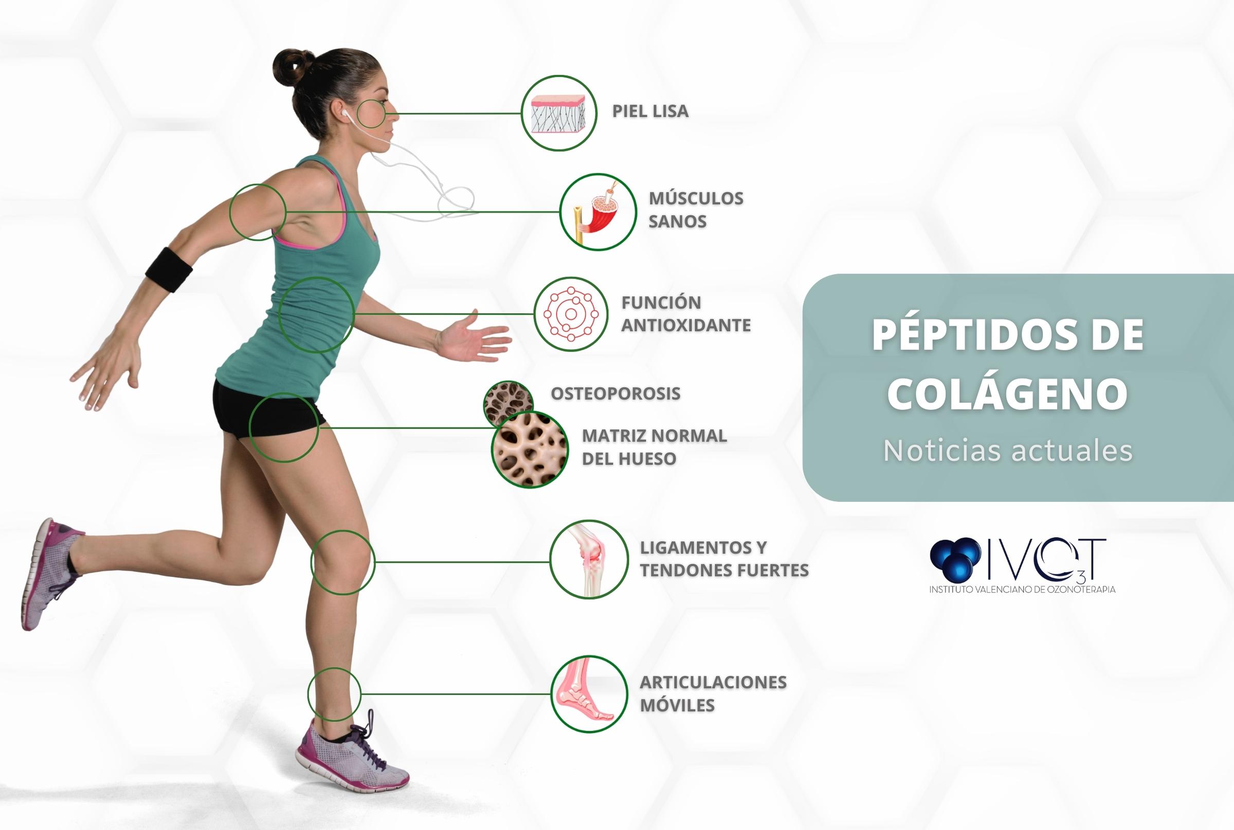 En este momento estás viendo Péptidos de colágeno: Su función en nuestro organismo