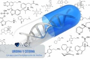 uridina y citidina