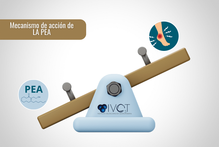 mecanismo de acción de la PEA