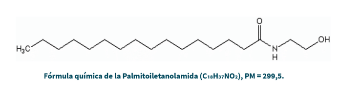 Metabolismo de la PEA