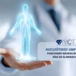 Nucleótidos UMP y CMP: 5 claves para la formación de mielina