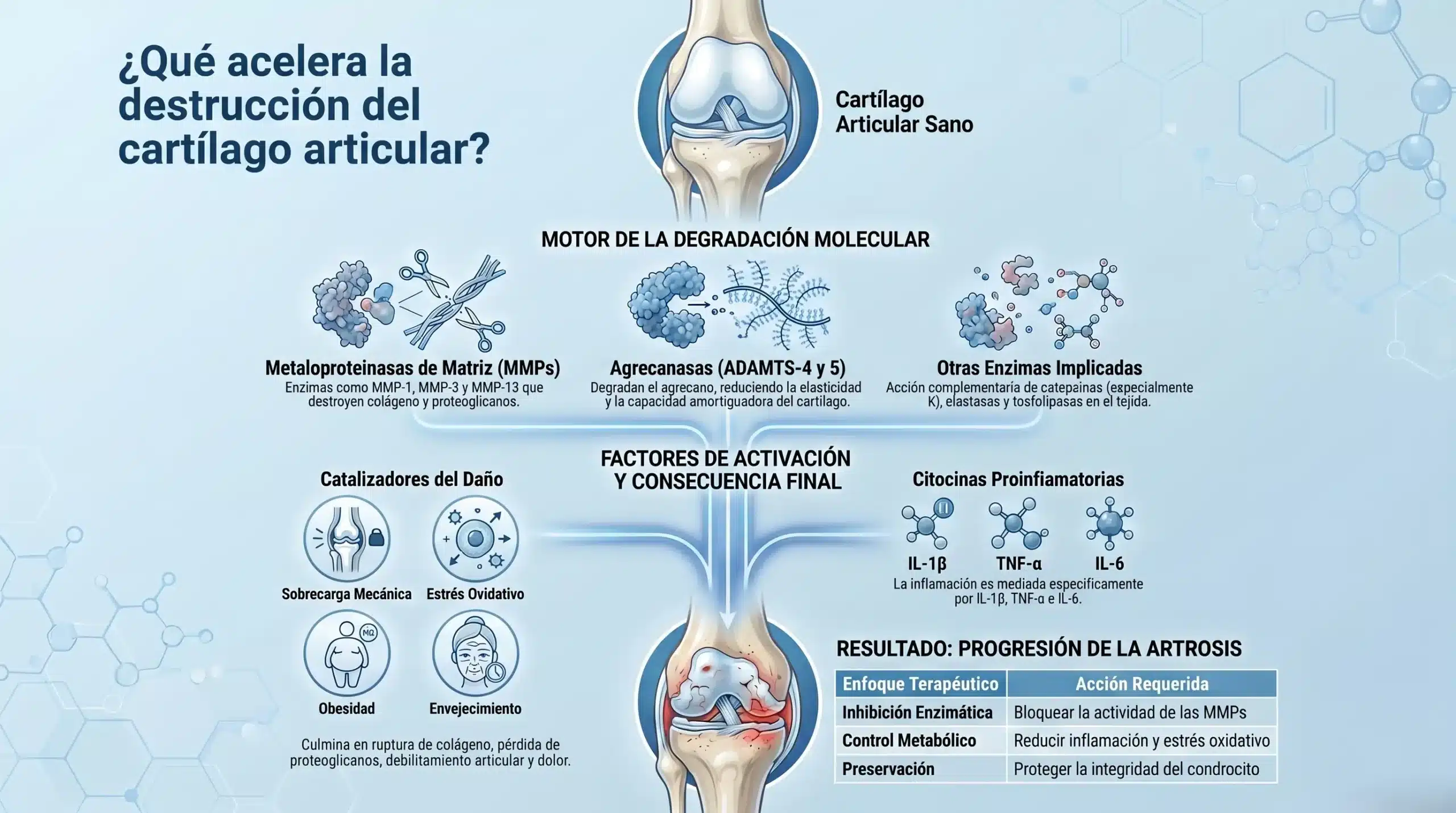 regeneración del cartílago de la rodilla